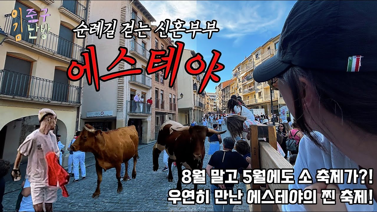 [산티아고 06] 나바라 평야를 지나 별의 도시 에스테야로! (Puente la Reina ➡️ Estella)
