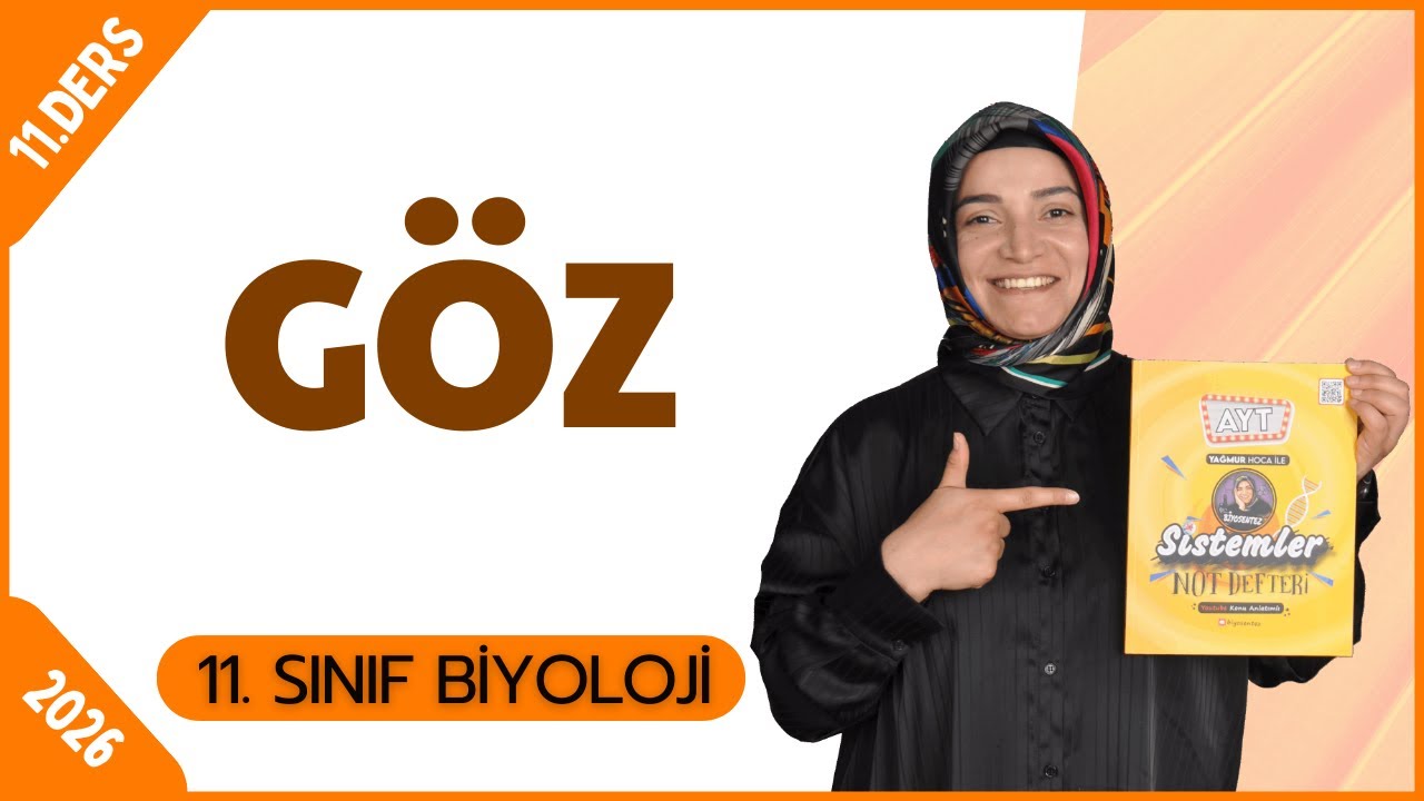 Göz Konu Anlatımı | 11.Sınıf Biyoloji | 2026 | Ücretsiz PDF