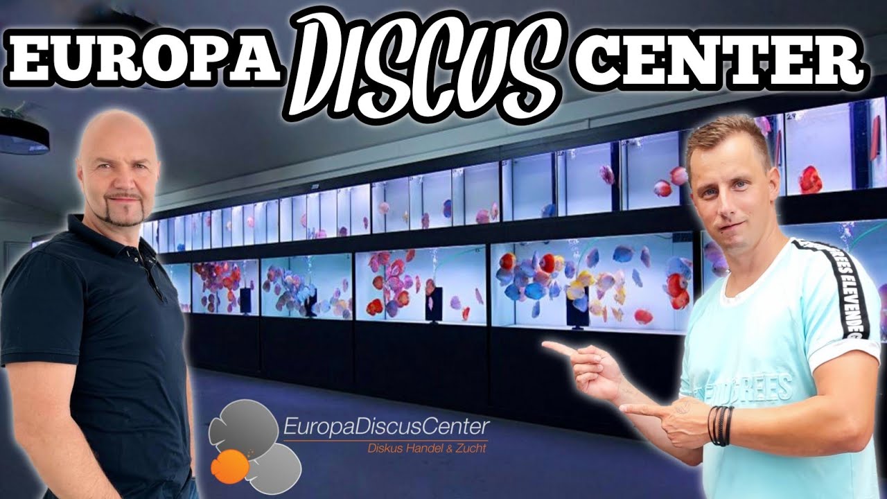 FANTASTIC DISCUS FISH PLANT I Visiting Europa Discus Center