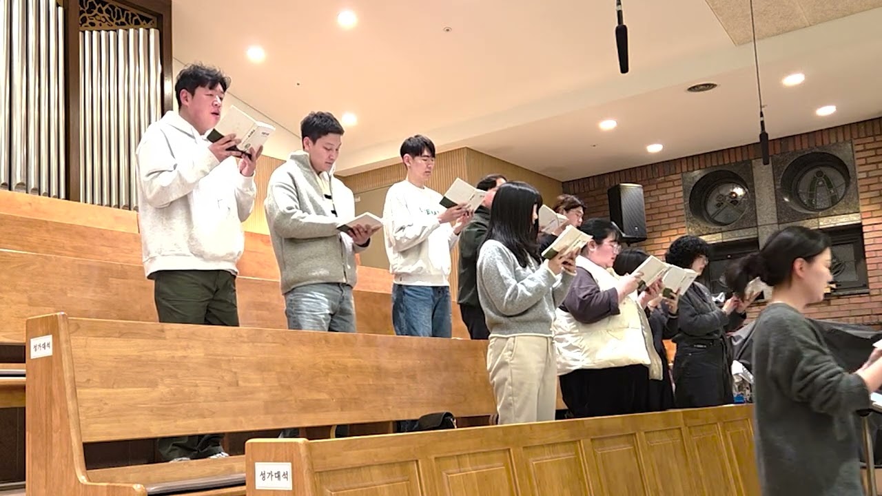 야훼이레 587. 새로운 계명 | 2026년 연중 제6주일 보라동성당 청년미사 성체성가 #청년회 #성가 #가톨릭 #미사 #새로운계명