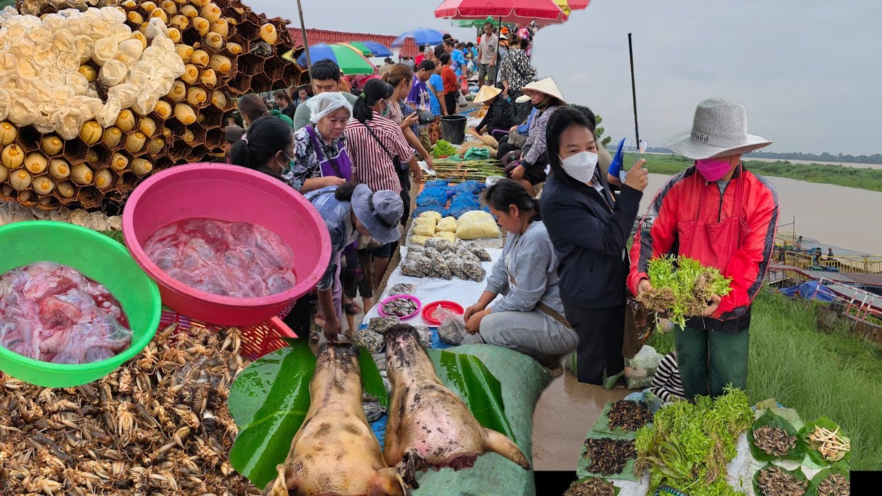 ตลาดนัดไทย-ลาว อ.ธาตุพนม จังหวัดนครพนม #food #อาหารป่า