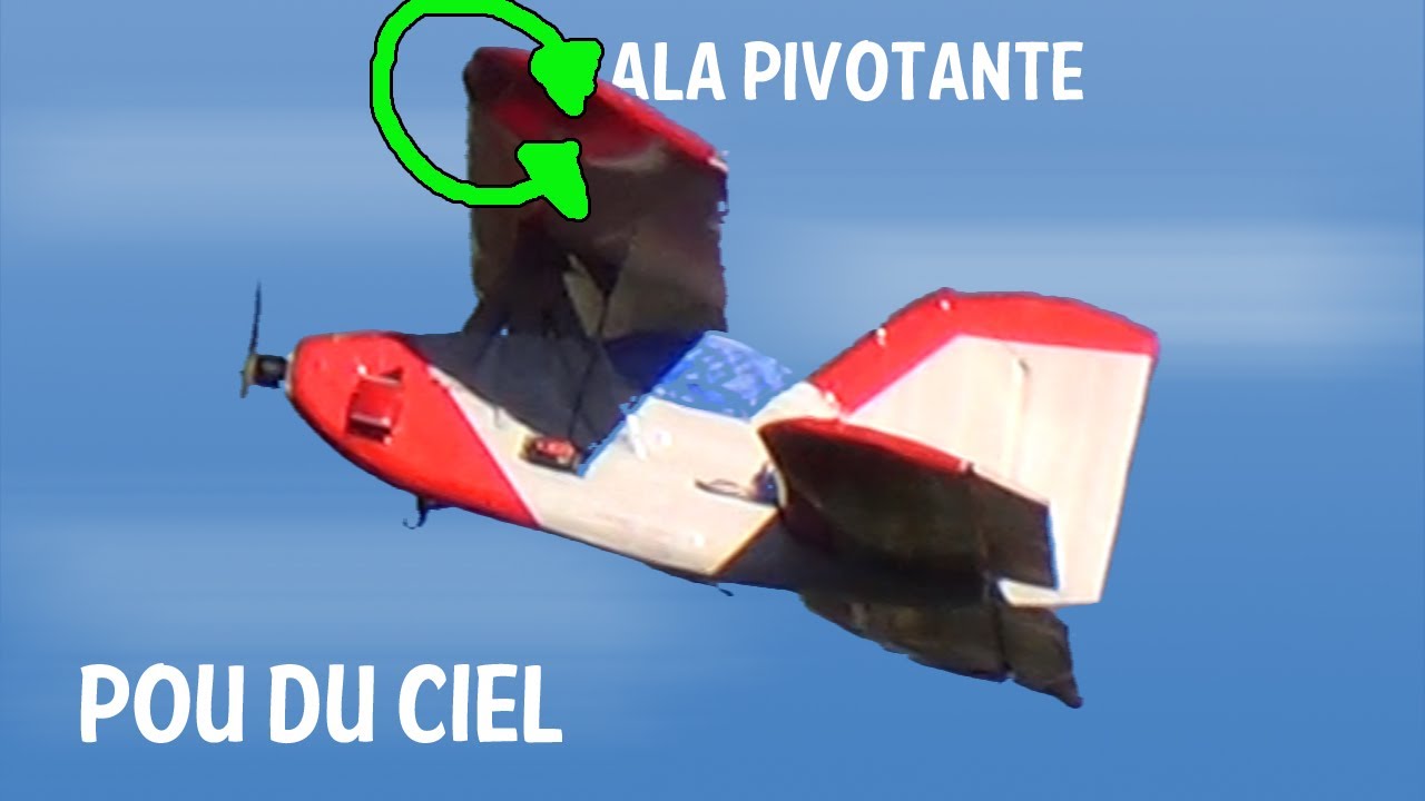 Pou du ciel, pulga del aire, flying flea.  |Cuervo RC|