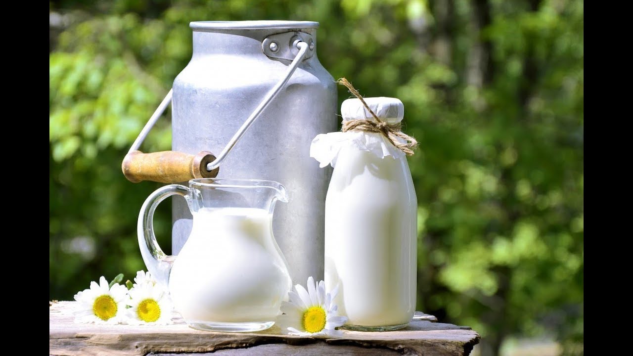 Usos de la Leche de Burra y sus Beneficios Parte II- TvAgro por Juan Gonzalo Angel