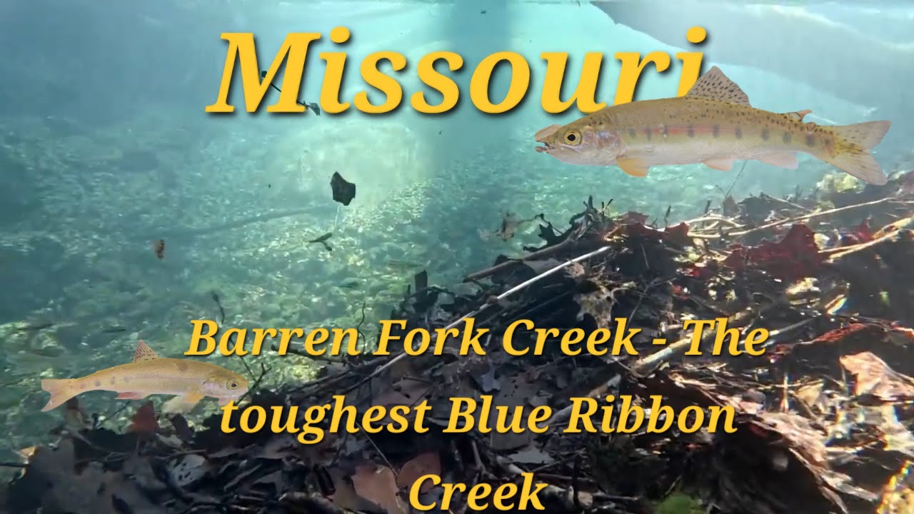 Fly Fishing at Barron Fork Creek - The Toughest Blue Ribbon Creek in Missouri!