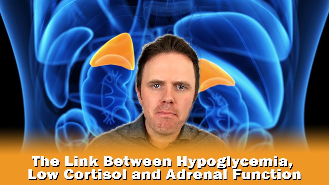 The Link Between Hypoglycemia, Low Cortisol and Adrenal Function