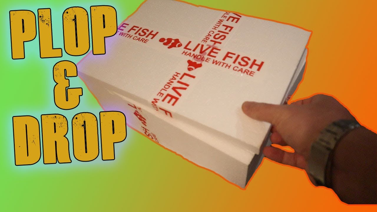 Shipping LIVE fish - plop and drop