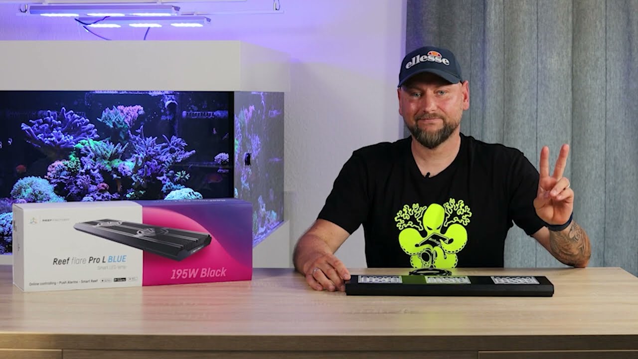 Schau mit Adrian, wie Reef Flare Pro BLUE leuchtet + PAR-Messung