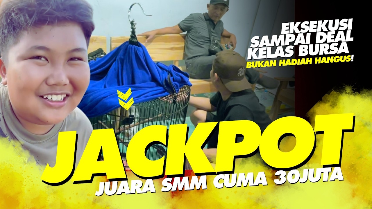 JUARA SMM Cuma 30JUTA😱Bocil JALU Beli MURAI KARYA BANGSA di Kelas BURSA Solo High-class‼️