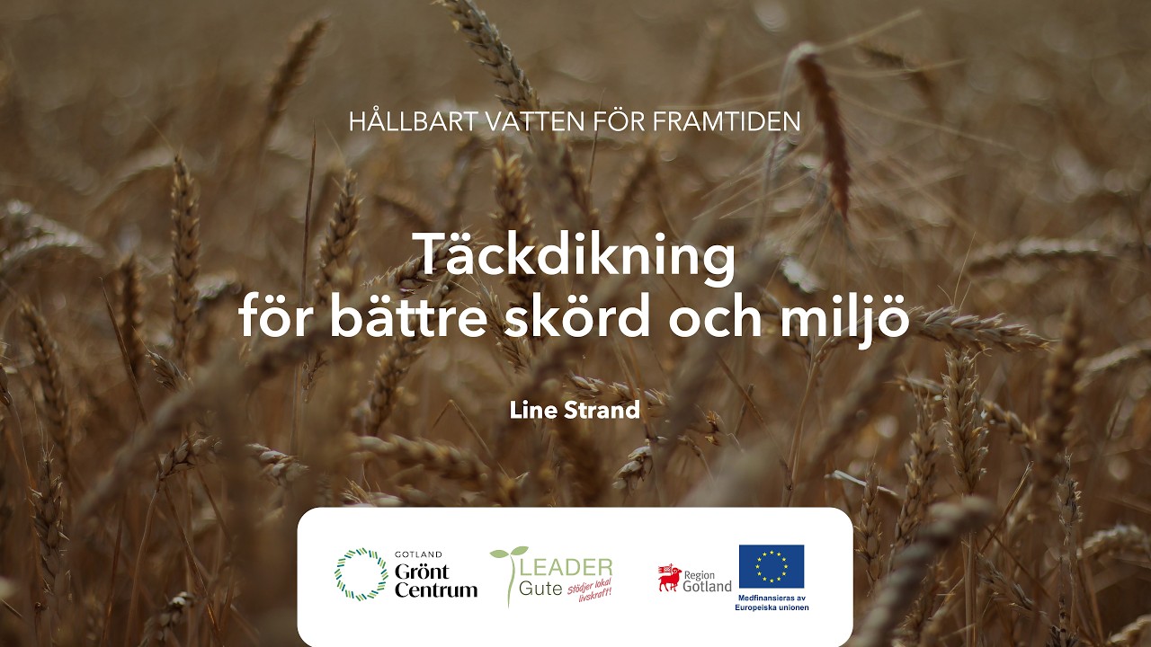 Täckdikning – bättre skörd och miljö