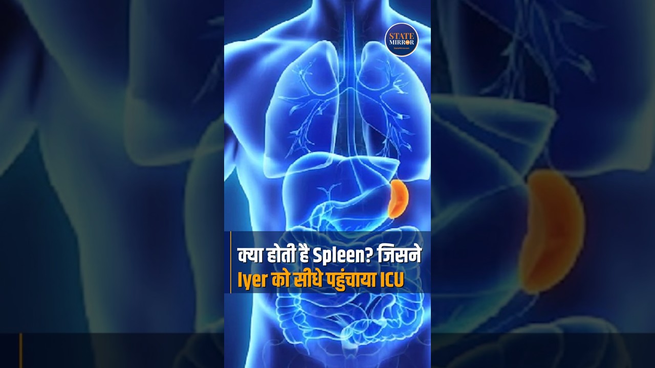 What is Spleen Injury? Shreyas Iyer ICU में भर्ती | Shreyas Iyer Health Update 2025 | Cricket News
