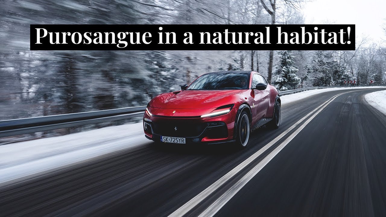 Ferrari Purosangue - the ultimate daily!