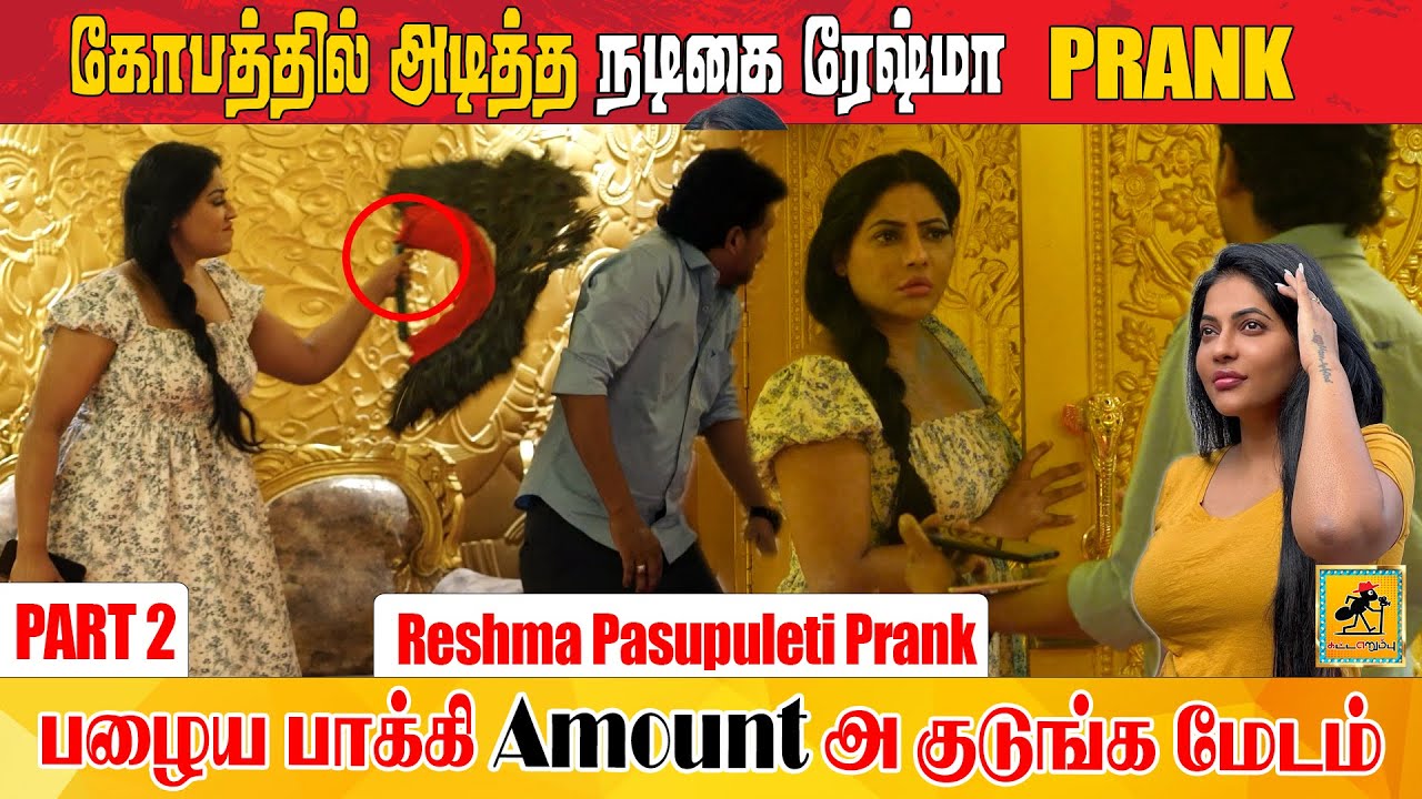 Reshma Prank l Part 2 l Katta Erumbu