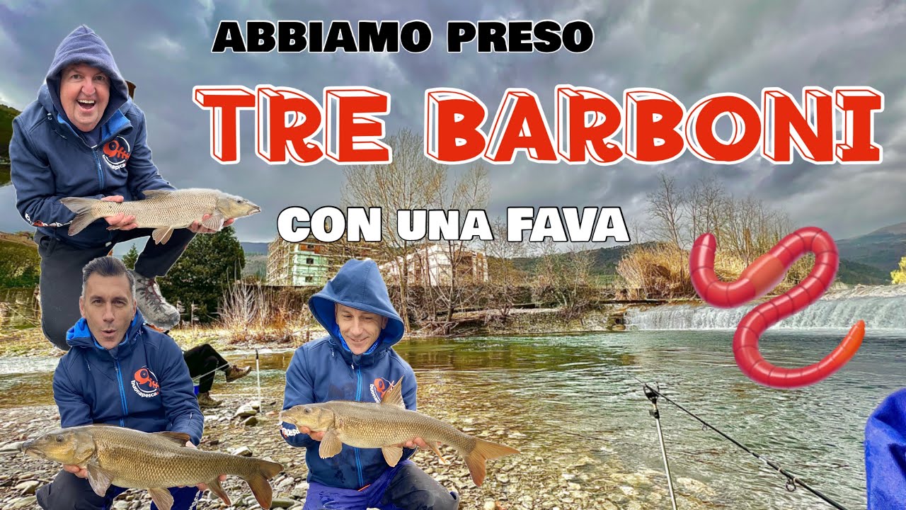 PESCARE tre BARBONI con una FAVA
