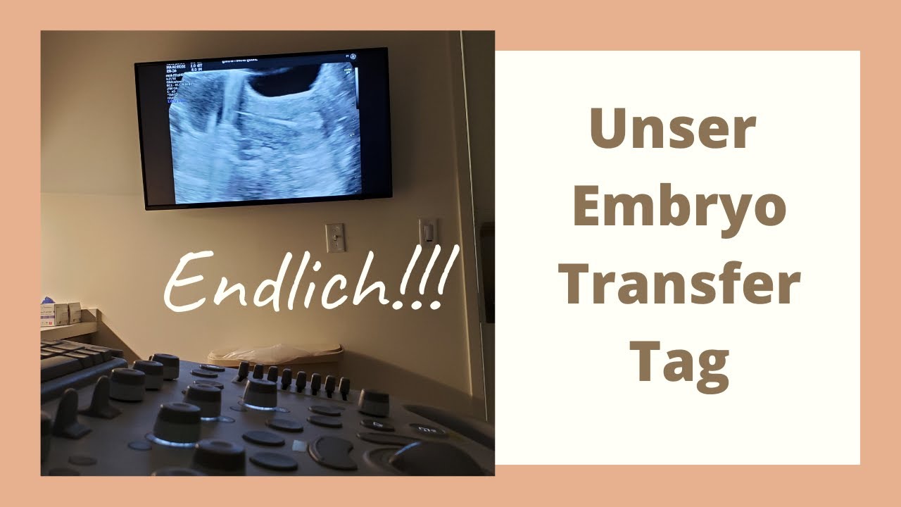 Mein emotionaler Embryotransfer
