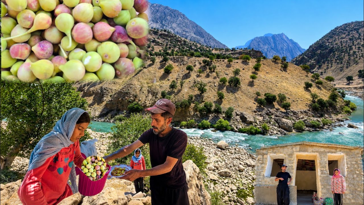 Traditional life of Iranian nomads | The hidden treasure of wild fruits in the Zagros Mountains🍇🥭