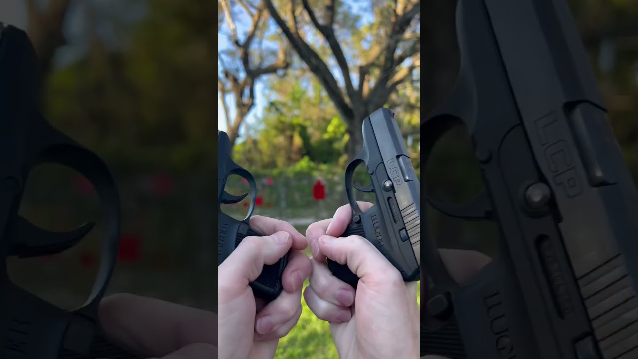 Pick one: Ruger LCP Stainless or Blued finish?