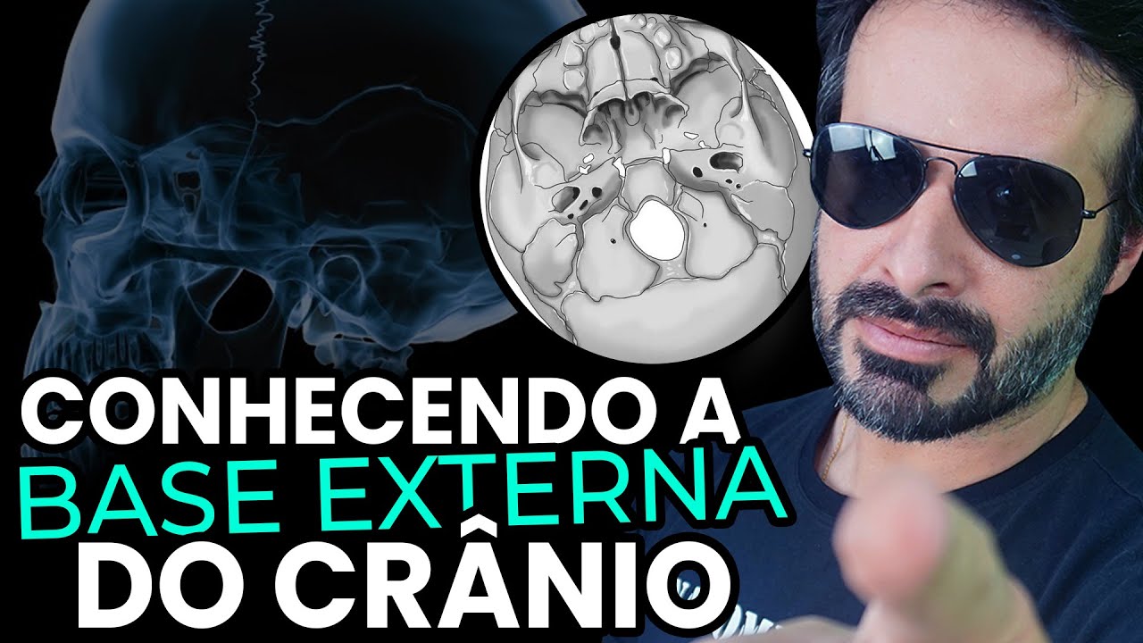 CONHECENDO A BASE EXTERNA DO CR&Acirc;NIO.