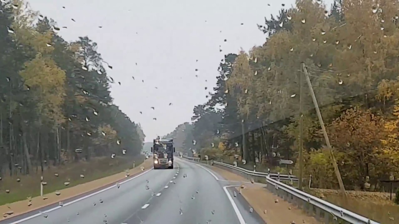 Driving in Estonia - Road E67 from Parnu to Riga | 에스토니아 도로
