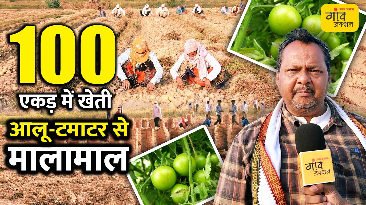 12 एकड़ से 100 एकड़ तक का सफर! आलू के बाद इस फसल चक्र से करोड़ों का टर्नओवर | Gaon Junction LIVE