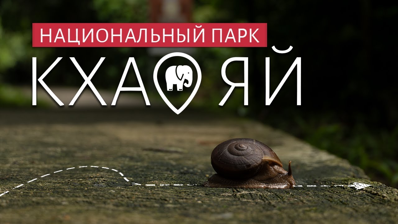 НАЦИОНАЛЬНЫЙ ПАРК КХАО ЯЙ | Ищем диких слонов и ночуем в заповеднике | Путешествие по Таиланду