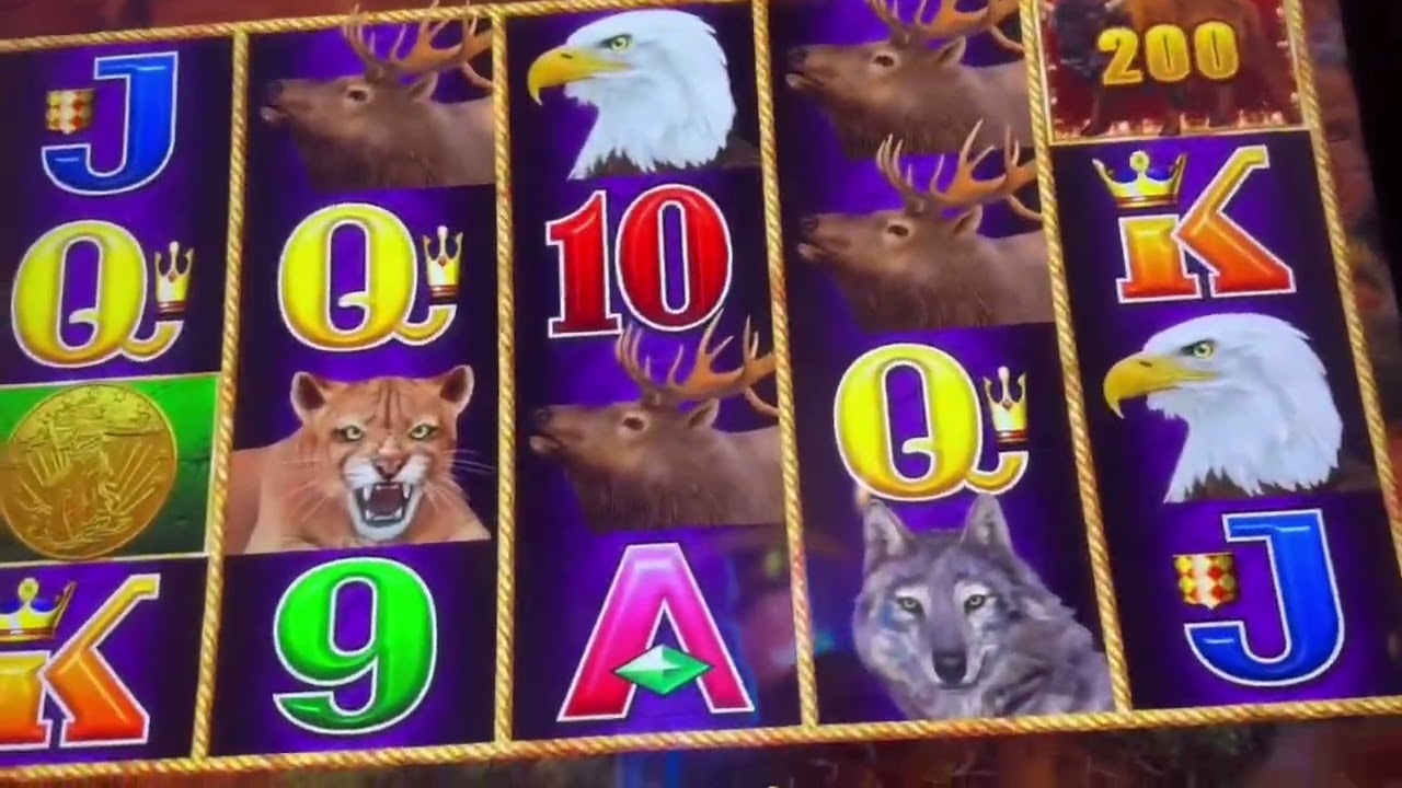 Buffalo Link Slot Machine Casino Session 🦬⛓️🎰