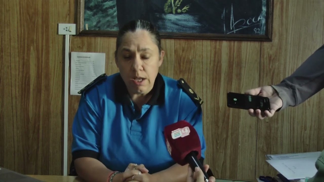 CAROLINA PAULI - 2º JEFE UNIDAD REGIONAL - VIOLENTO EPISODIO CON ARMA BLANCA EN COLAN CONHUE