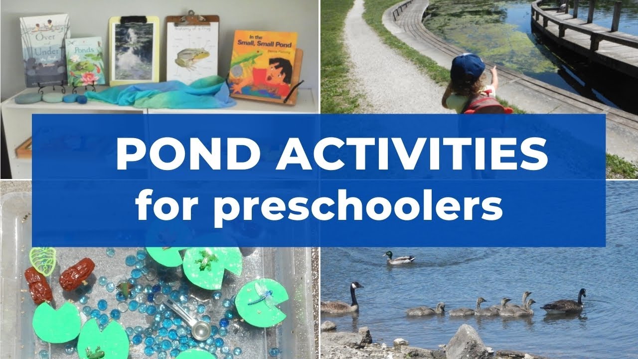 Pond Activities for Preschoolers