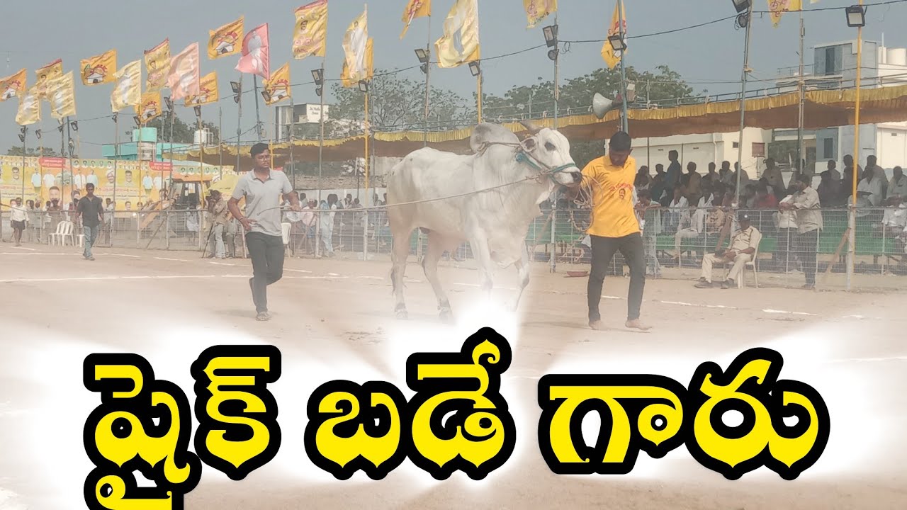 చిలకలూరిపేట. న్యూ కేటగిర17 షైక్ బడే గారు పురుషోత్తపట్నం