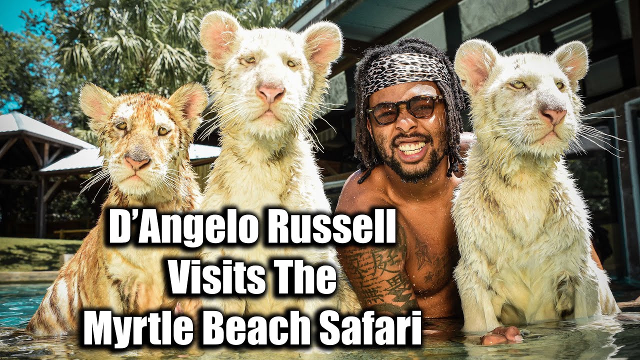 D'Angelo Russell Swims With Tigers!  | Vlog