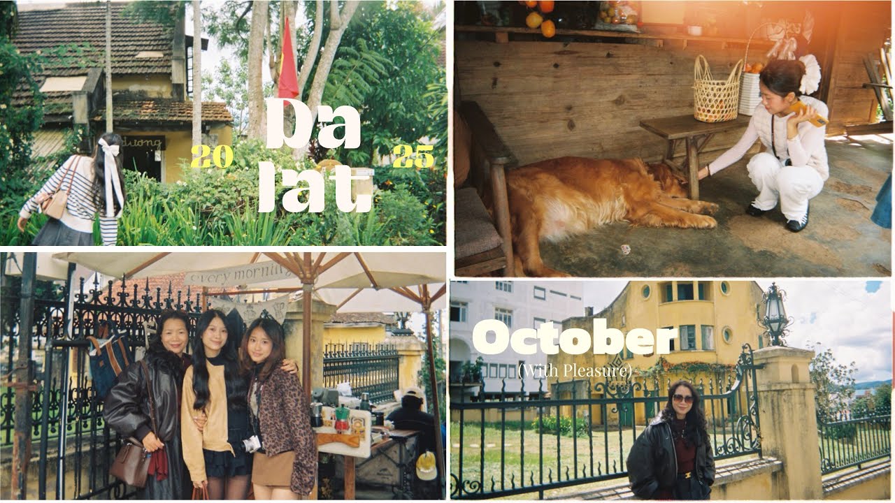 Đâu đó tại Đà Lạt 🎞️📸☕️