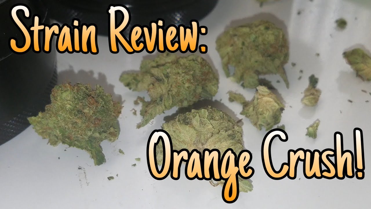 Strain Review: Orange Crush!