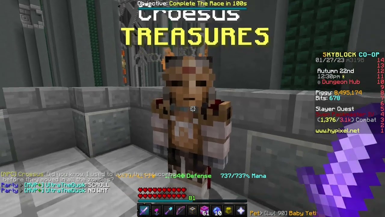 Getting RNG Carried in Hypixel Skyblock