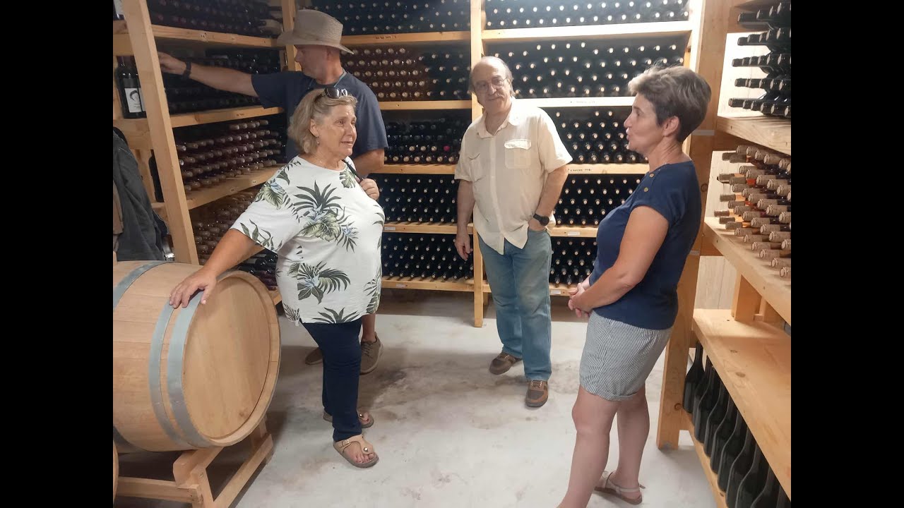 2025 Anemotia winery Lesbos Greece