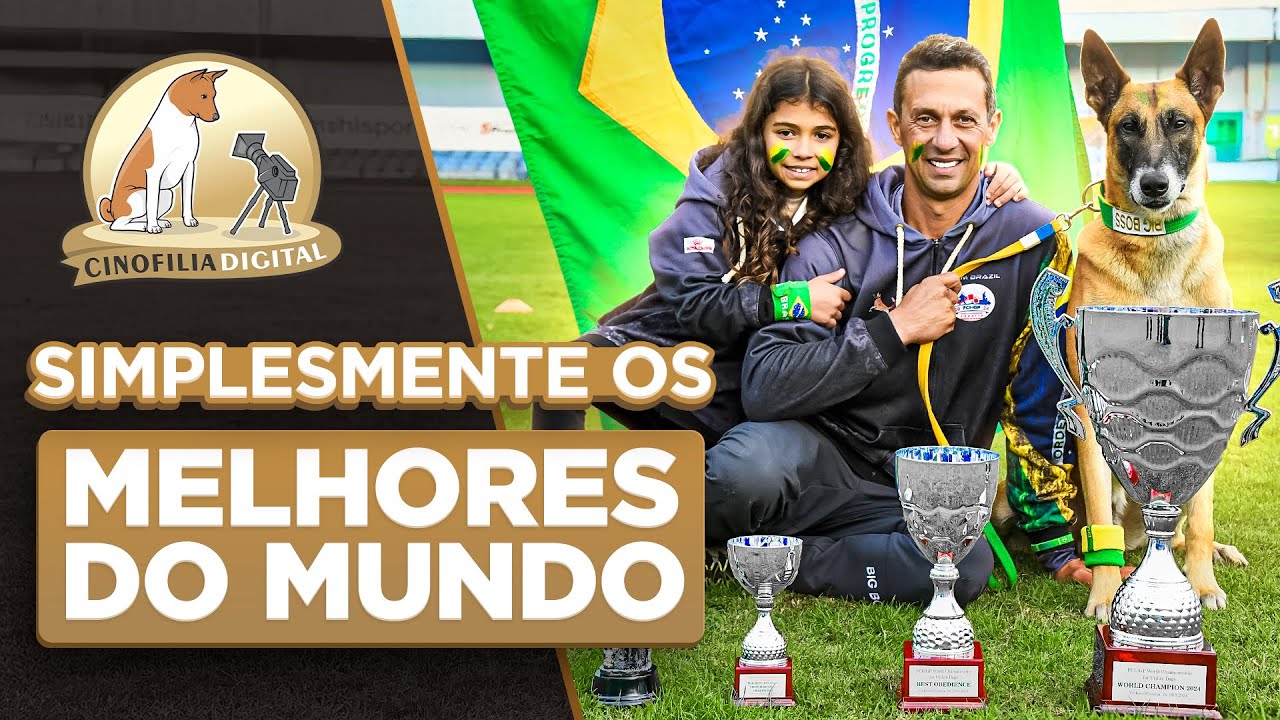 Big Boss | O Cão Brasileiro que Conquistou o Mundo no IGP | Cinofilia Digital