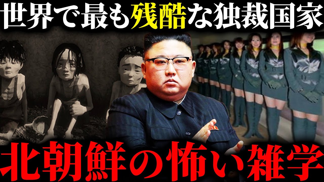 【総集編】9割が知らない北朝鮮の怖すぎる雑学【作業用/睡眠用】