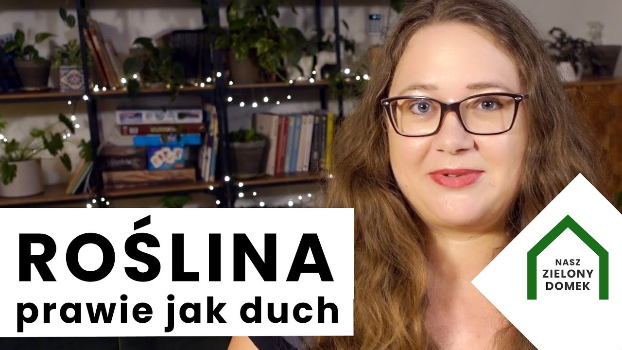 Roślina duch👻 Kto straszy po wakacjach?