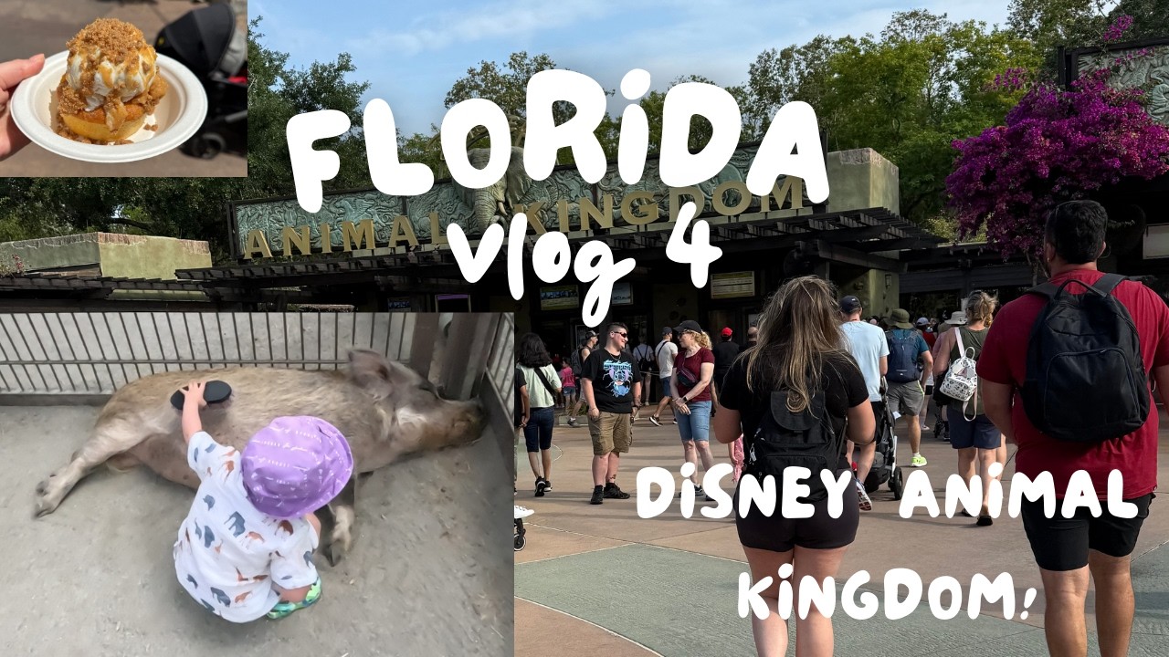 ВИДЕОБЛОГ 4 | ОРЛАНДО, ФЛОРИДА 2025 | МИРОВОЙ ДИСНЕЙ МИР | КОРОЛЕВСТВО ЖИВОТНЫХ | iHOP | ПУТЕШЕСТ...