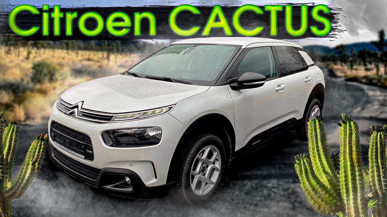 Кто он? Растение или автомобиль? Citroen С4 Cactus. Псков.