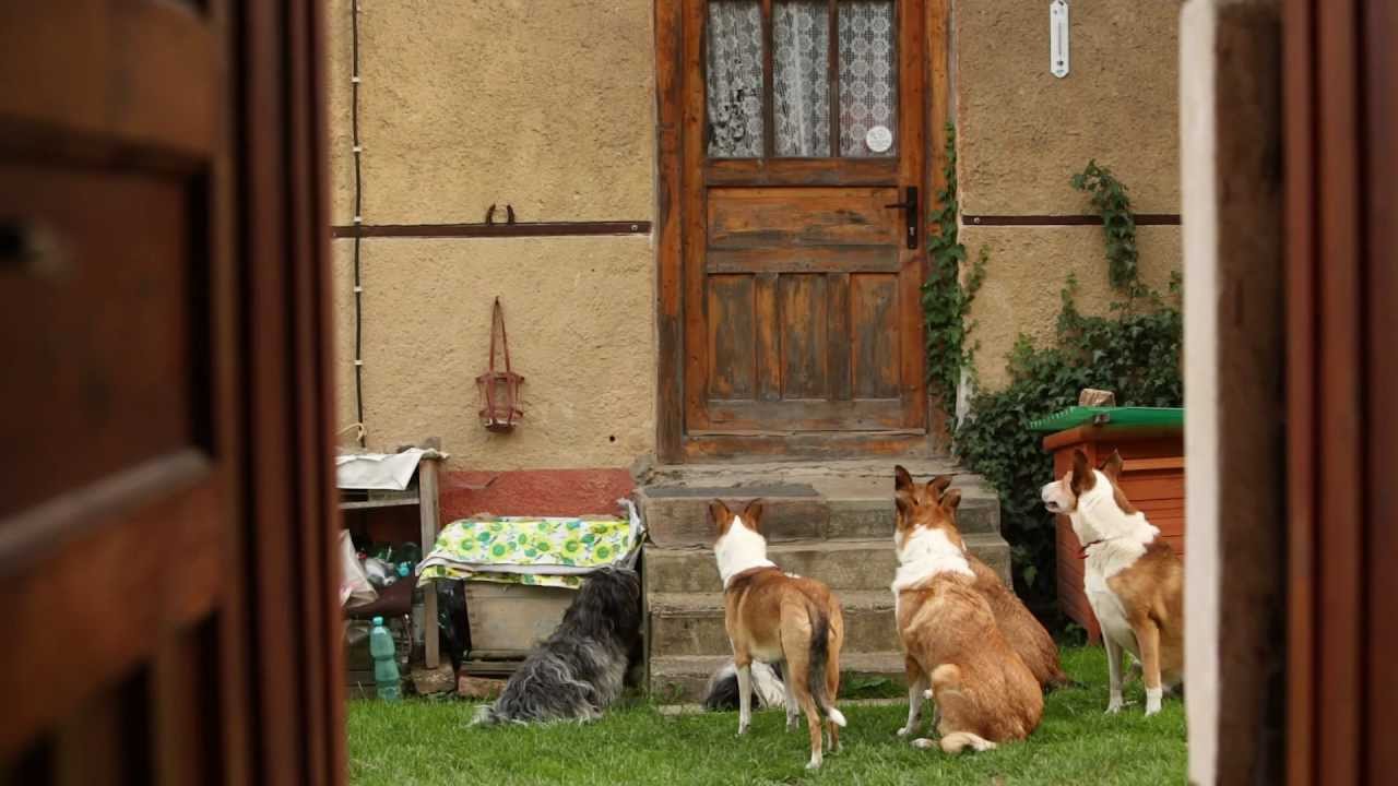 Lets go to eat :-) (Poďme papať)