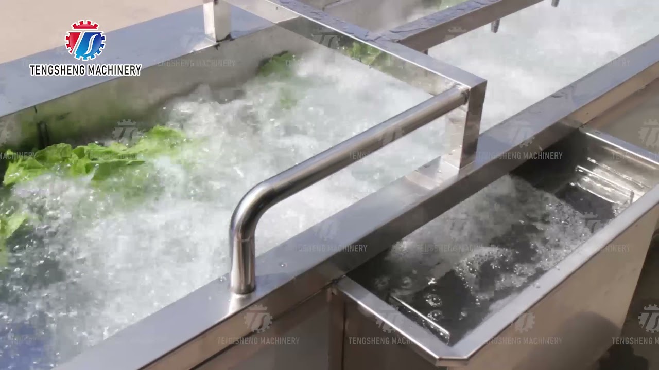 340KG Multifunctional Vegetable Washing Machine Continuous Type