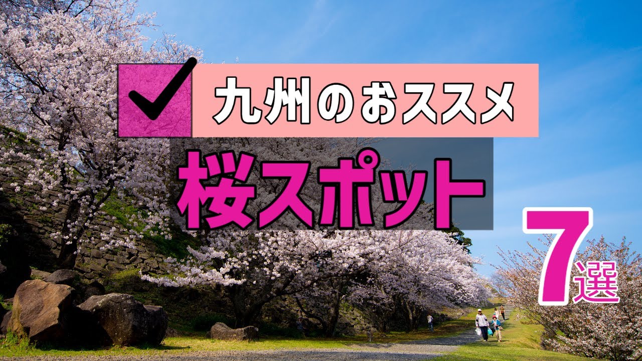 【九州おススメ】桜スポット７選（桜ひよ子も）