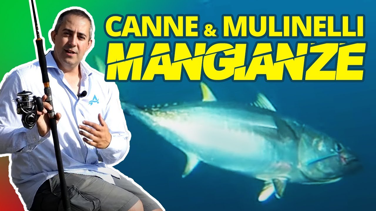 Che CANNA e MULINELLO COMPRARE per PESCARE sulle MANGIANZE: 4 abbinamenti spiegati
