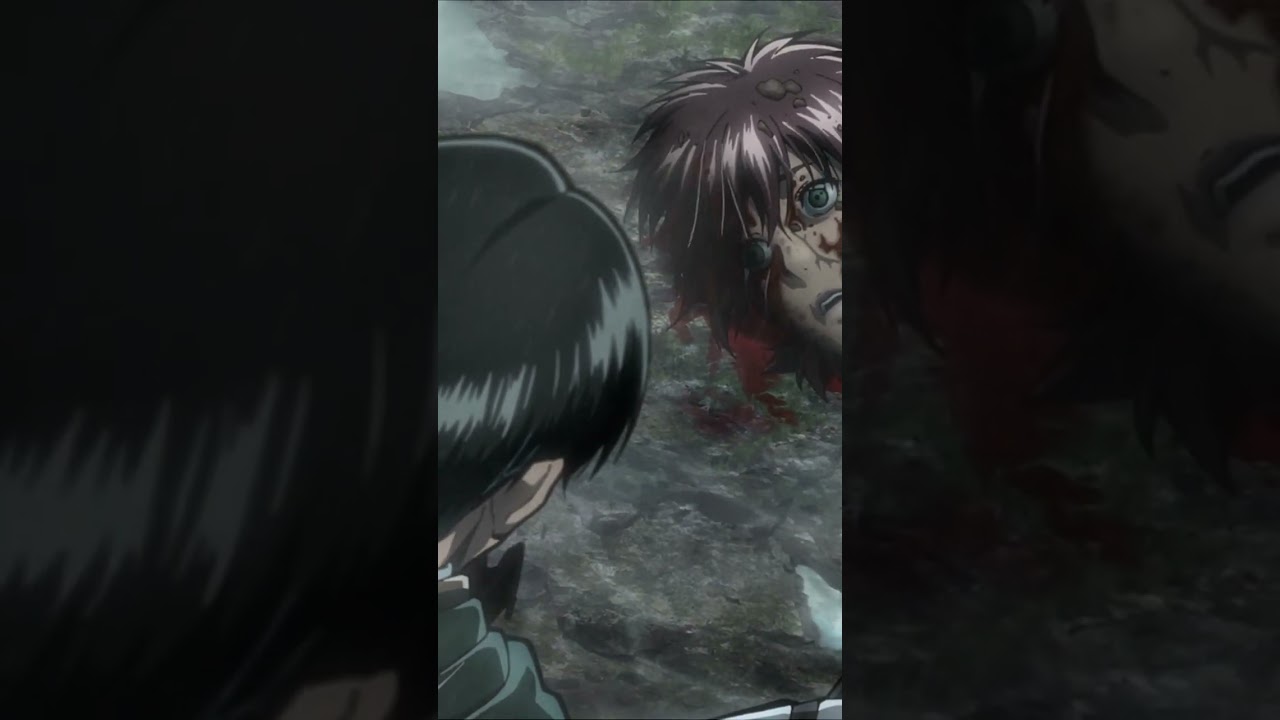 Levi 😢