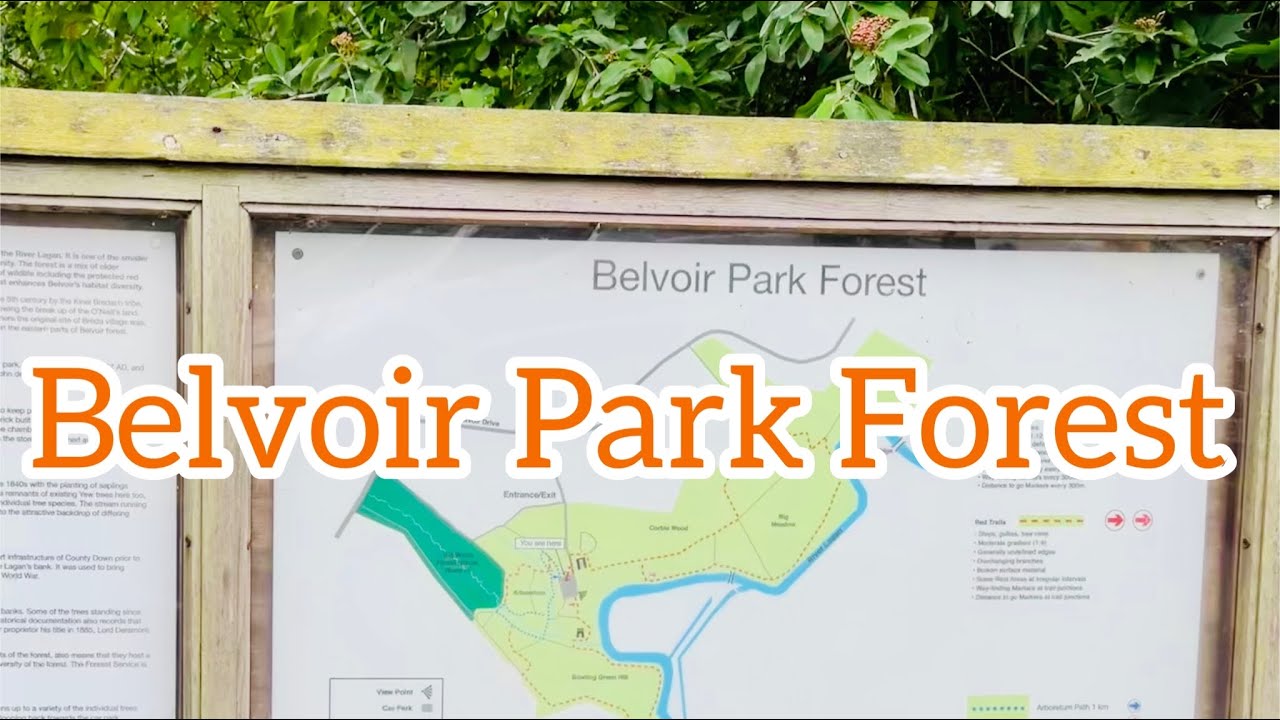 UK Travel Videos | Belvoir Park Forest #uk #uktravel