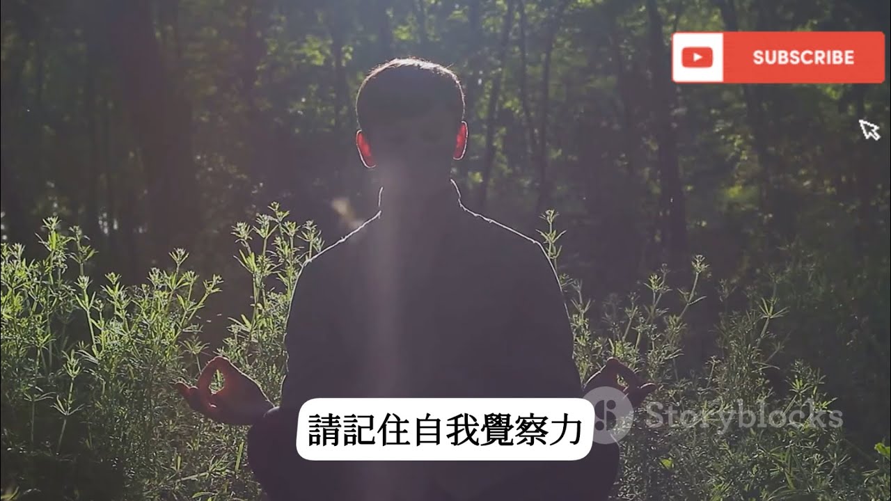 如何在日常生活中練習覺察 | 自我成長與靜心指南