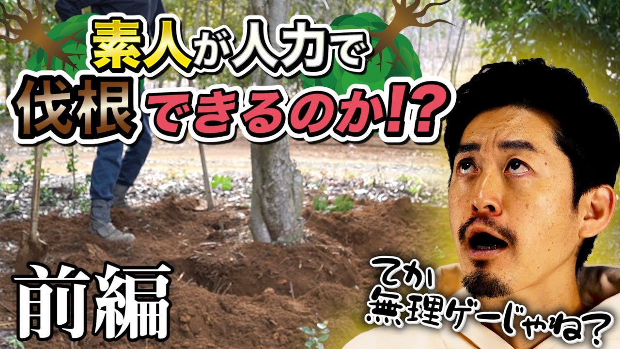 【人柱】素人が人力で大木の抜根に挑戦した結果（前編）