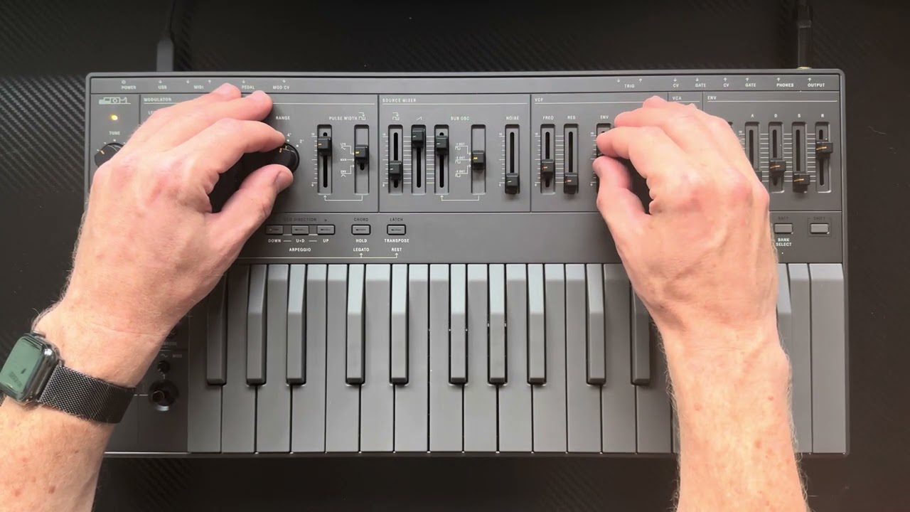 Superlative SB01 (Space Bee) :: Live Sequence :: Boss DM-101 :: Strymon BigSky