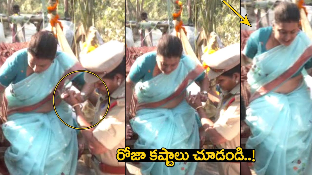 ఎడ్ల బండి మీద మంత్రి రోజా..Minister Roja Participates Sankranti Celebration at Bhavani Island | CMTV