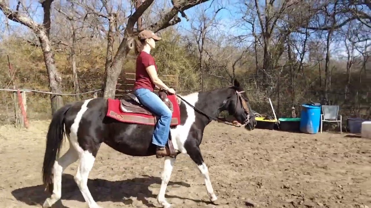 1st riding lesson - Foundation riding exercises for control