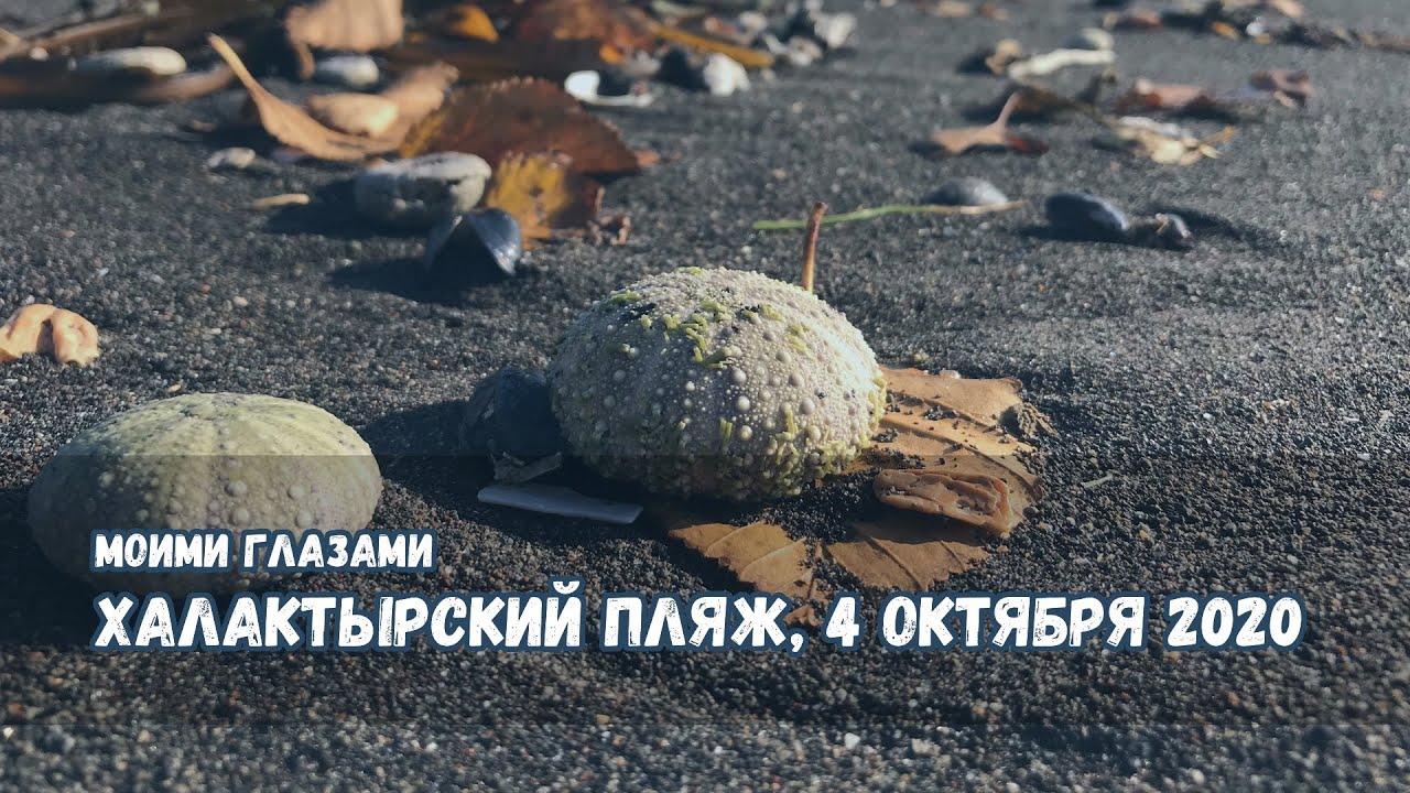 Халактырский пляж, Камчатка, 4-ое октября 2020 - ищу последствия разлива химии в Тихом океане